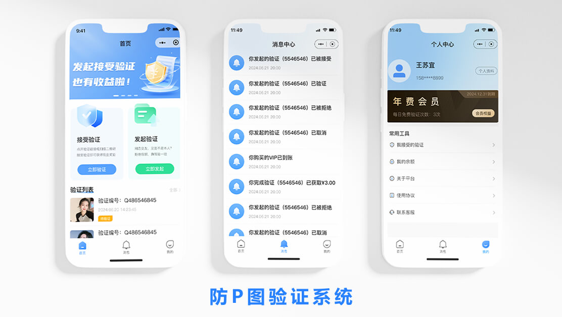 防P图验证系统